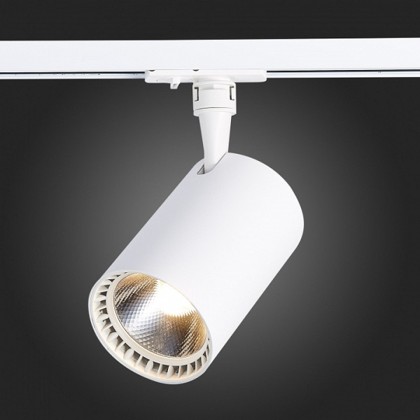 Фото Светильник на штанге ST-Luce Cami ST351.536.30.36