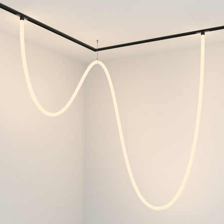 Фото Подвесной светильник Maytoni Tau TR101-2-100W3K-B