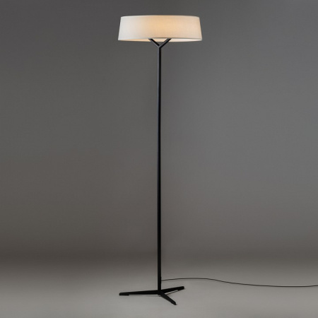 Фото Торшер Freya Vabi FR6132FL-L15B