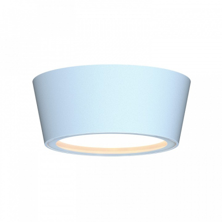 Фото Накладной светильник Favourite Fantum 4676-1U