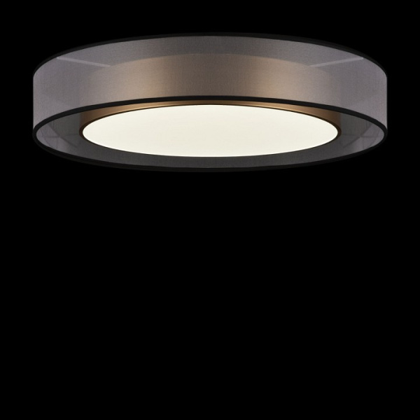 Фото Накладной светильник Freya Zoticus FR6005CL-L48G