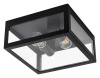 Накладной светильник Arte Lamp Belfast A4569PF-2BK Накладной светильник Arte Lamp Belfast A4569PF-2BK