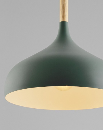 Фото Подвесной светильник Moderli Eline V1296-1P