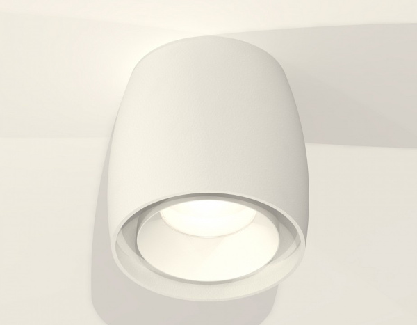 Фото Накладной светильник Ambrella Light XS XS1141001