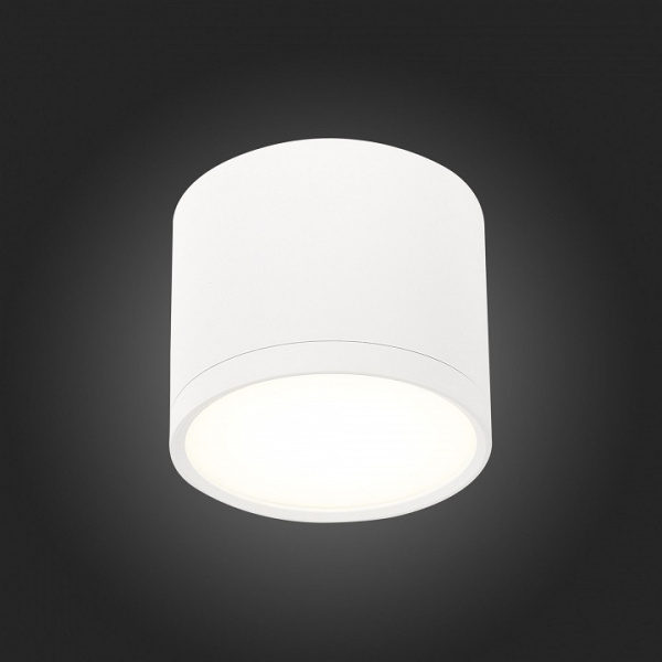 Фото Накладной светильник ST-Luce Rene ST113.542.09