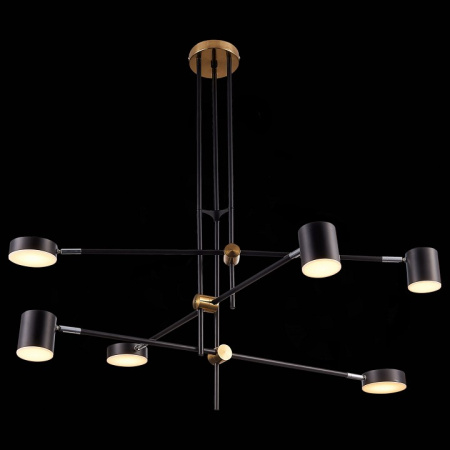 Фото Люстра на штанге ST-Luce Rodrigo SL1604.432.06