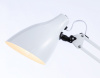 Открыть Торшер Ambrella Light TR TR97641 Фото Торшер Ambrella Light TR TR97641