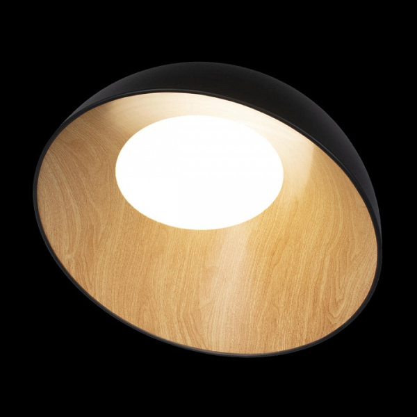 Фото Накладной светильник Loft it Egg 10197/500 Black
