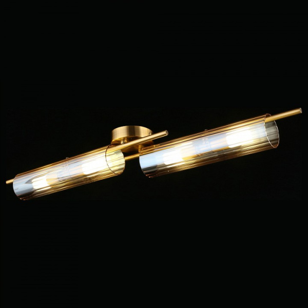 Фото Накладной светильник Aployt Lusia APL.315.07.04