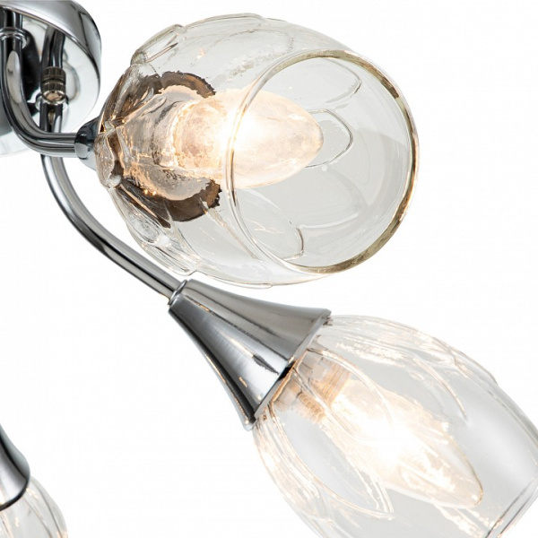 Фото Накладной светильник Escada Tulip 670/5P