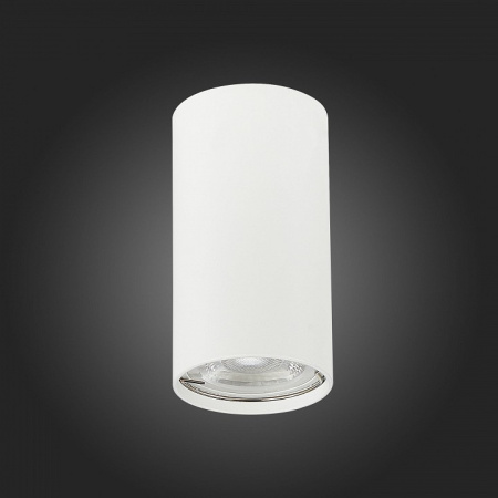 Фото Накладной светильник ST-Luce Simplus ST110.507.01