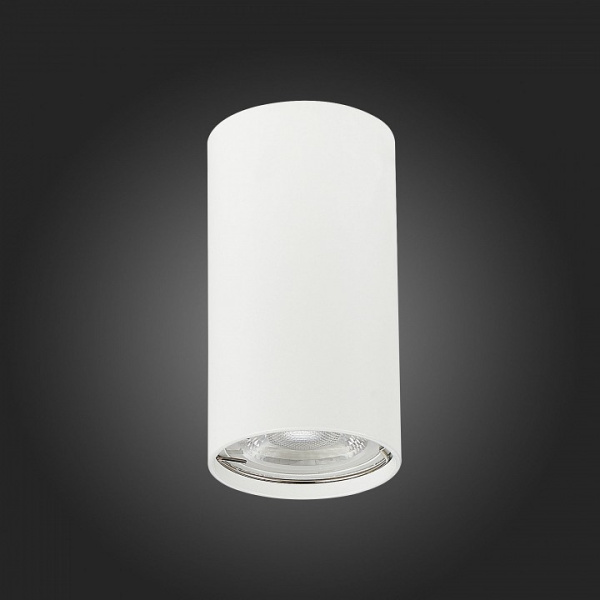 Фото Накладной светильник ST-Luce Simplus ST110.507.01