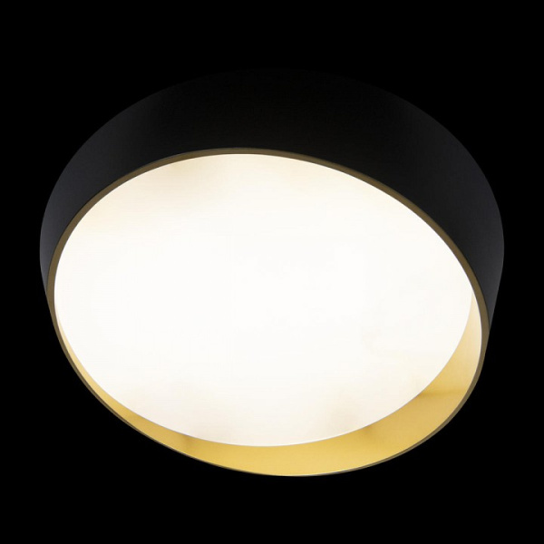 Фото Накладной светильник Loft it Coin 10199 Black