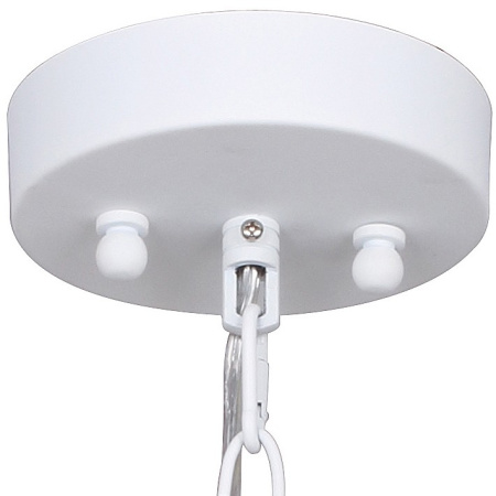 Фото Подвесной светильник Favourite Chick 1929-2P