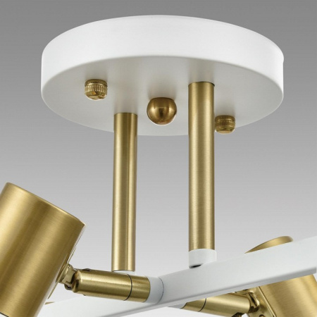 Фото Люстра на штанге Lumion Anriya 8045/6C