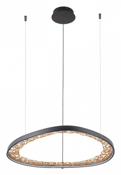 Фото Подвесной светильник Arte Lamp Cinta A1847SP-46BK