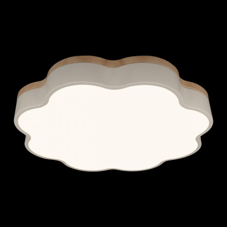 Фото Накладной светильник Loft it Axel 10225/36 White