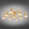 Фото Потолочная люстра Aployt Elison APL.911.07.09