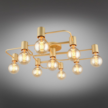 Фото Потолочная люстра Aployt Elison APL.911.07.09