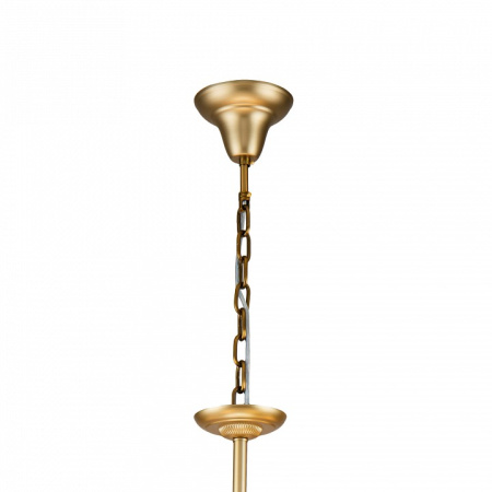 Открыть Подвесная люстра Favourite Sollemnis 2621-15P Фото Подвесная люстра Favourite Sollemnis 2621-15P