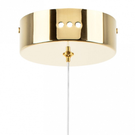 Фото Подвесной светильник Lightstar Acrile 738023