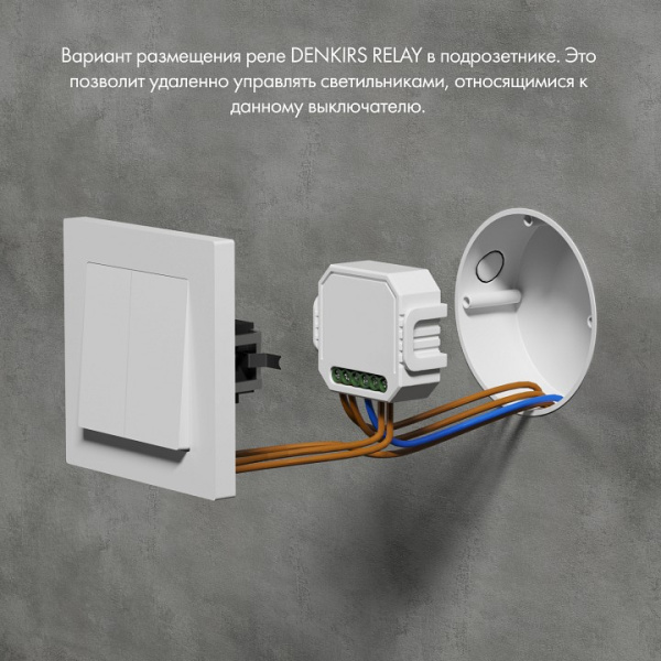 Фото Конвертер Wi-Fi для смартфонов и планшетов Denkirs RELAY RL1002-SM