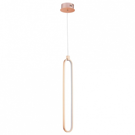 Фото Подвесной светильник Maytoni Chain MOD017PL-L13G