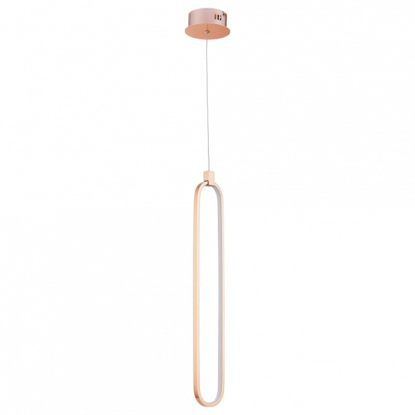 Фото Подвесной светильник Maytoni Chain MOD017PL-L13G