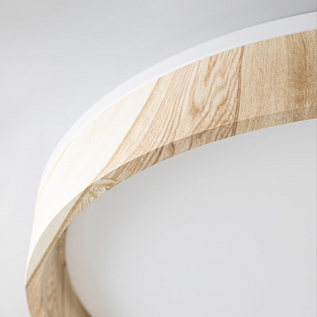 Фото Накладной светильник Citilux ENZO CL753452G