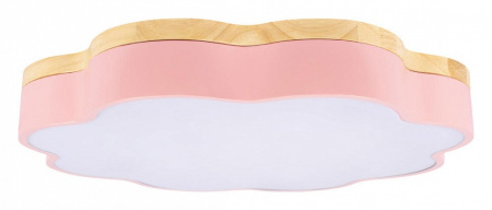 Фото Накладной светильник Loft it Axel 10225/36 Pink