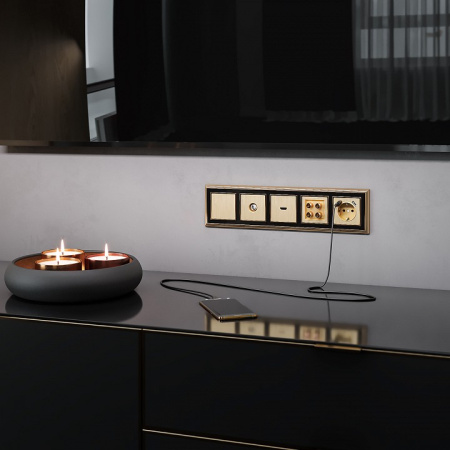 Фото ТВ-розетка без рамки Werkel шампань рифленый W1183010