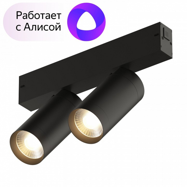 Фото Светильник на штанге Denkirs Smart DK8012-BK