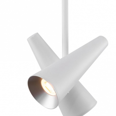 Фото Светильник на штанге Maytoni Giro MOD095CL-02W