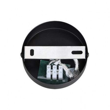 Фото Подвесной светильник Lumion Avrora 8001/1A