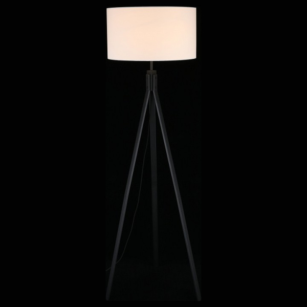 Фото Торшер Aployt Donatin APL.636.05.01