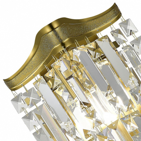 Фото Накладной светильник ST-Luce Ofelia SL1659.301.01