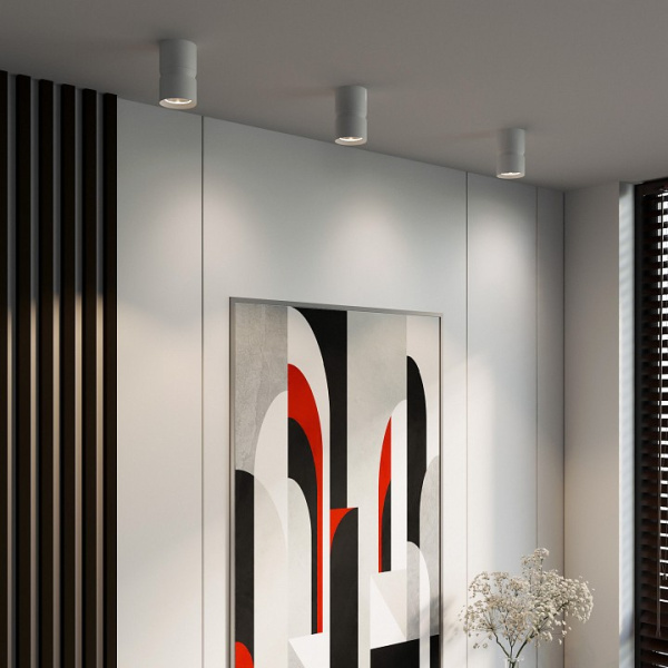 Фото Накладной светильник Elektrostandard Kayo a064730