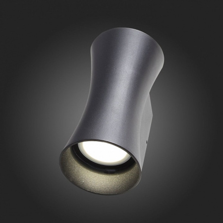 Фото Накладной светильник ST-Luce Deale SL088.401.02