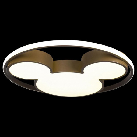 Фото Накладной светильник Loft it Mike 10168