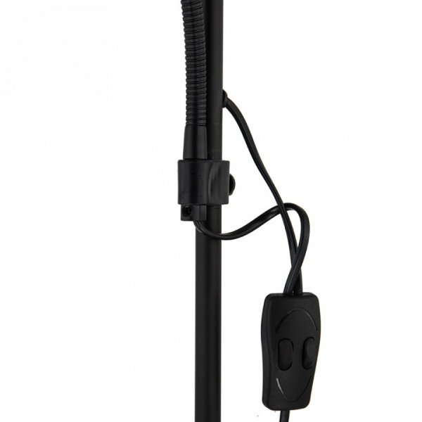 Фото Торшер с подсветкой Arte Lamp Duetto A9569PN-2BK