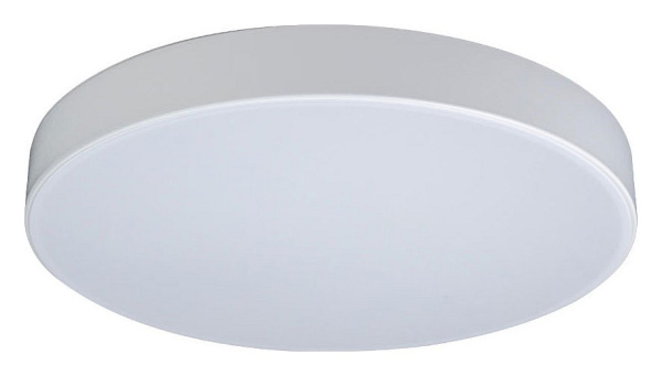Фото Накладной светильник Loft it Axel 1 10002/24 White