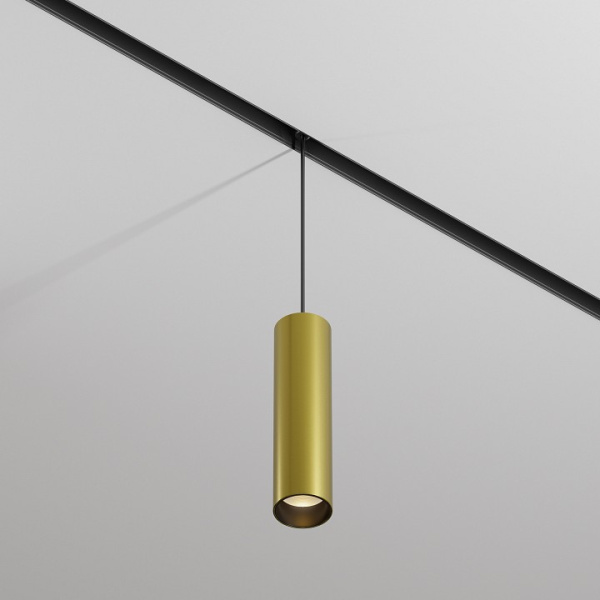 Фото Подвесной светильник Maytoni Focus LED TR041-2-12W3K-BBS