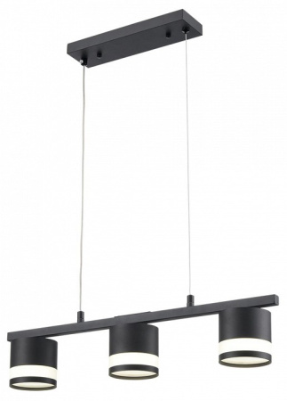 Фото Подвесной светильник Lumion Lanika 8240/3