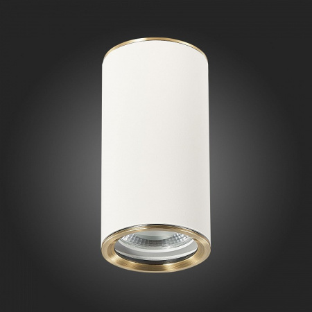 Фото Накладной светильник ST-Luce Chomus ST111.537.01