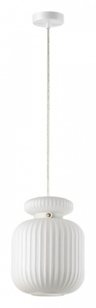 Открыть Подвесной светильник Odeon Light Jugi 5042/1C Фото Подвесной светильник Odeon Light Jugi 5042/1C
