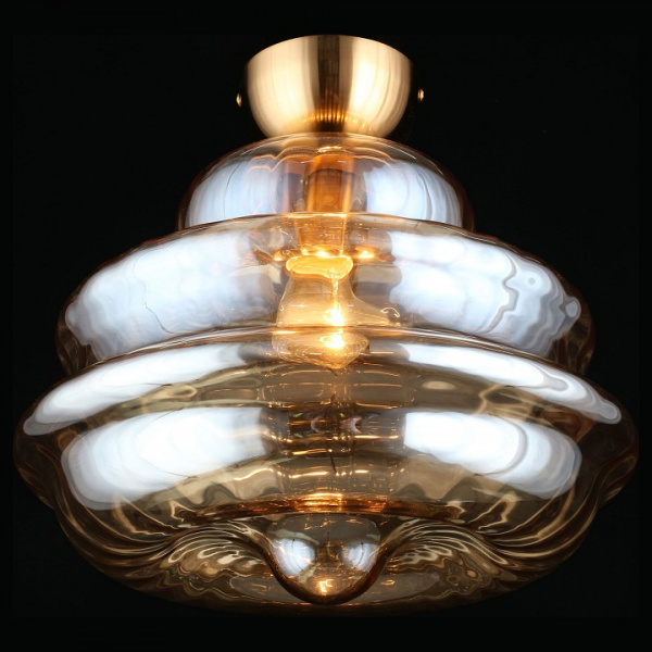 Фото Накладной светильник Aployt Liana APL.303.17.01