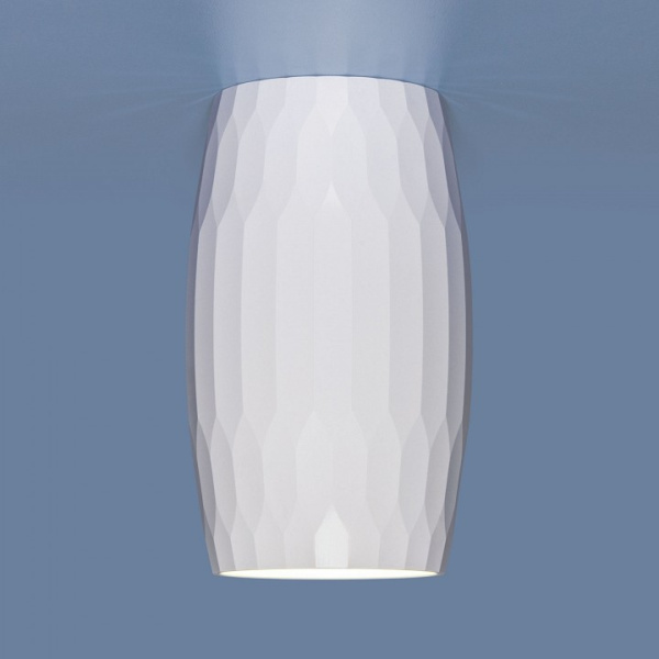 Фото Накладной светильник Elektrostandard DLN104 a047723