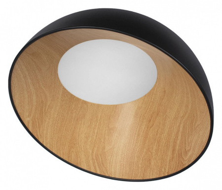 Открыть Накладной светильник Loft it Egg 10197/500 Black Фото Накладной светильник Loft it Egg 10197/500 Black