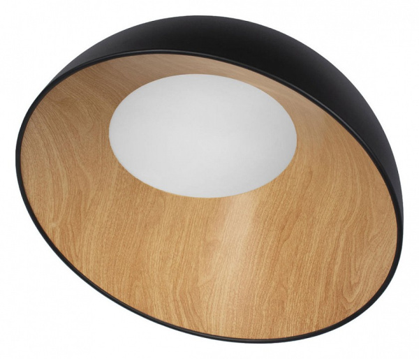 Фото Накладной светильник Loft it Egg 10197/500 Black