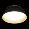 Открыть Накладной светильник Loft it Evans 10224 Black Фото Накладной светильник Loft it Evans 10224 Black